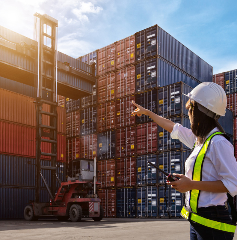 Security-Surveillance-Systems