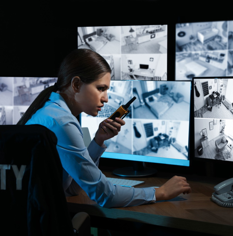 Retail-Sale-Of-Alarm-And-Surveillance-Apparatuses-And-Equipments